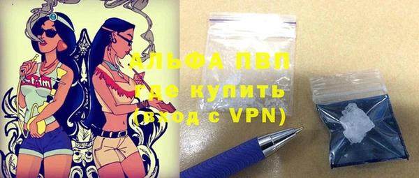 спиды Ельня
