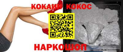 индика Камышлов