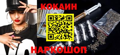индика Камышлов