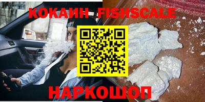 индика Камышлов