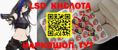 индика Камышлов