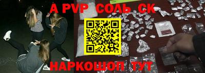 индика Камышлов