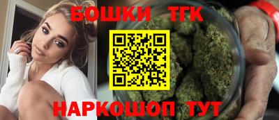 индика Камышлов