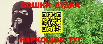 индика Камышлов
