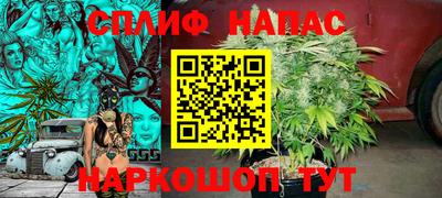 индика Камышлов
