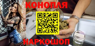 индика Камышлов