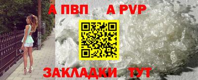 индика Камышлов