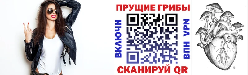 Галлюциногенные грибы Magic Shrooms Среднеуральск