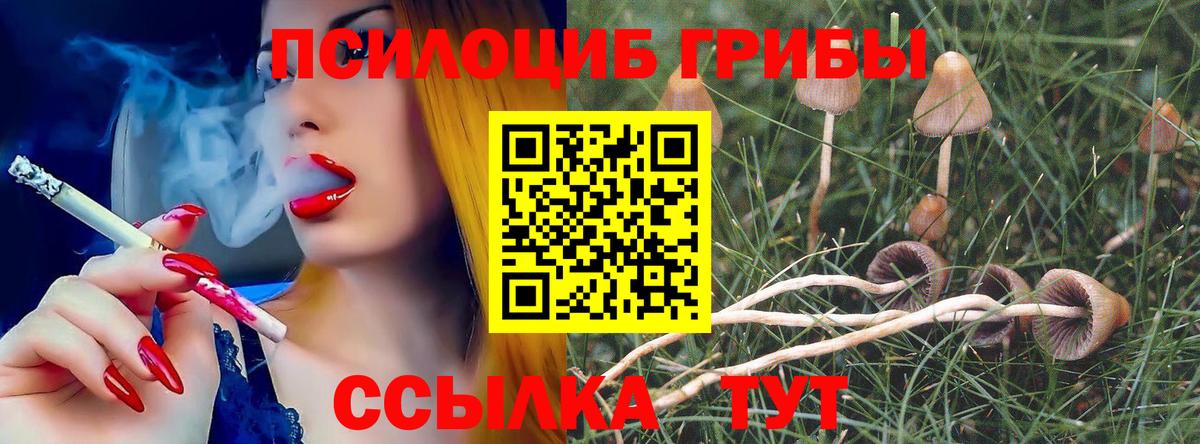 Среднеуральск  Галлюциногенные грибы мухоморы  Вход с VPN  Галлюциногенные грибы мухоморы 